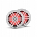 Влагозащищенные динамики с подсветкой 6,5" Rockford Fosgate M1-65 (75Вт/300Вт)